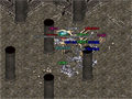 202635.jpg